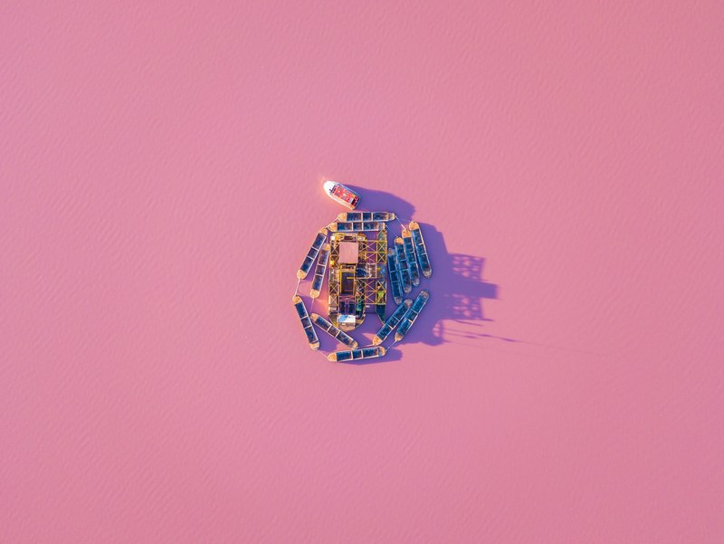 yeah its a real pink lake 4k