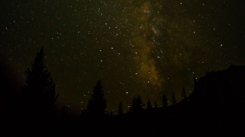 space, starry sky, trees, 4k