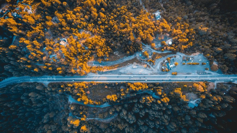 road forest tree and autumn 4k