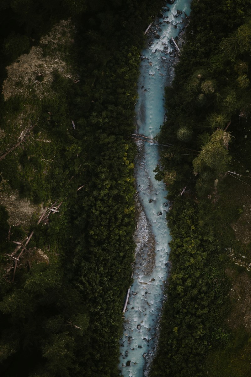 river forest stream and rock hd, 4k