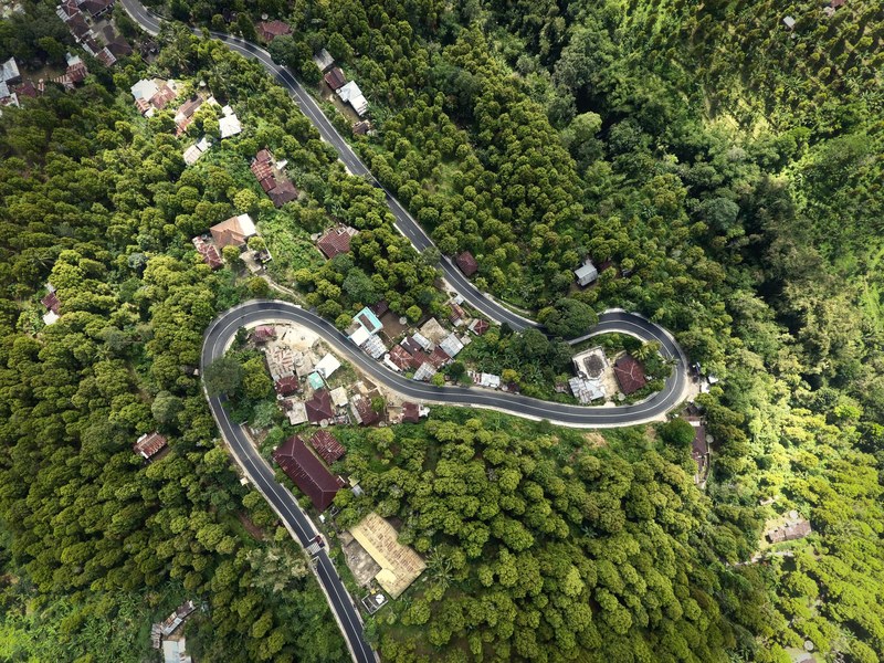 curvy jungle road 4k