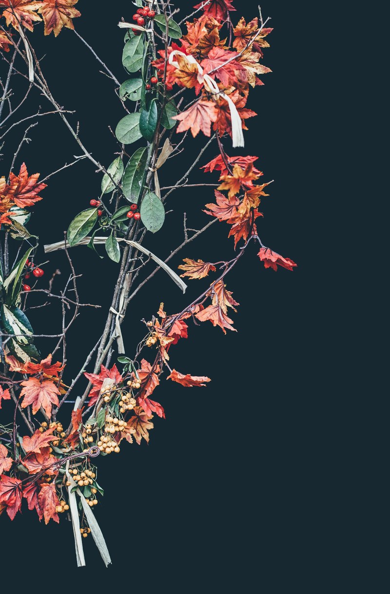 feeling festive 4k