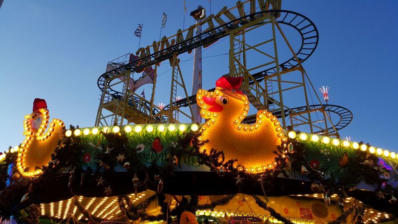 carousel, berlin, attraction, ducks, 4k