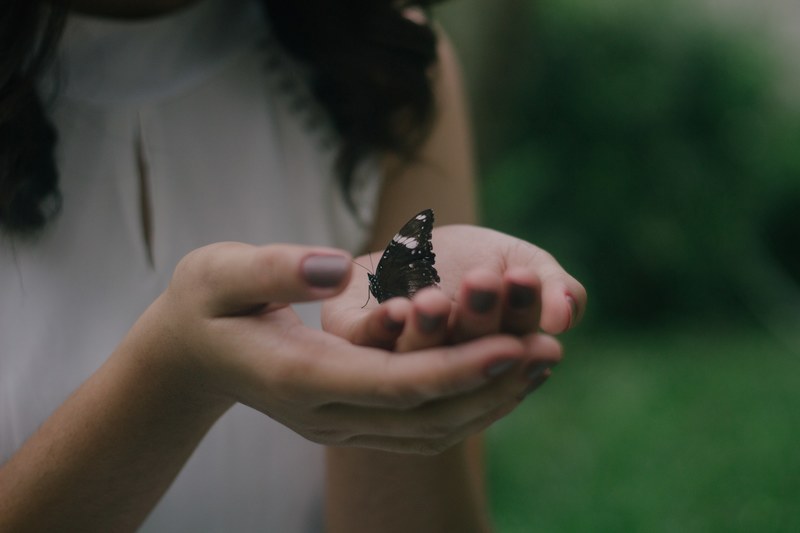 hand holding bug and insect 4k
