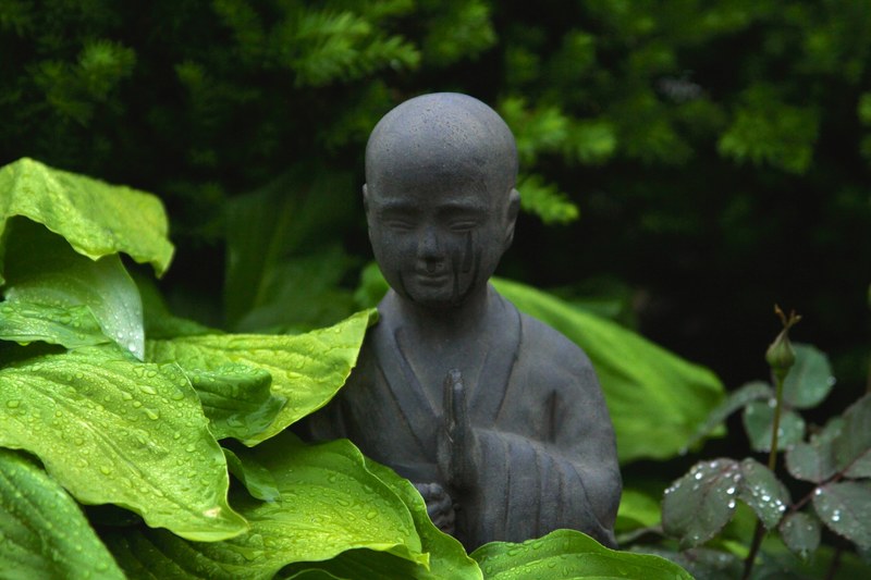 stone statue in a leafy zen garden on a rainy day, zen garden 4k