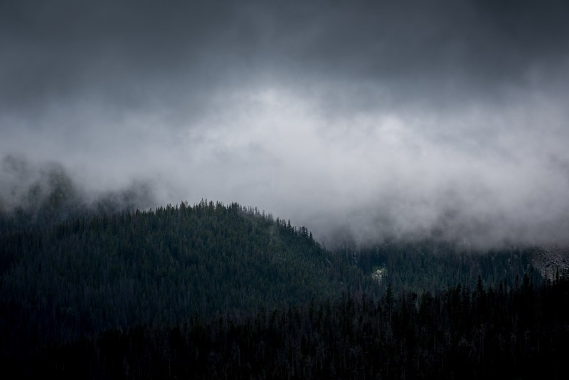 heavy mist descending on wooded hills, mist coming down on hills 4k