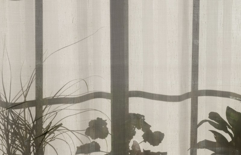 shadow of the window frame and plants in pots on the white curtain in nordfjordeid, window frame shadow on a curtain 4k