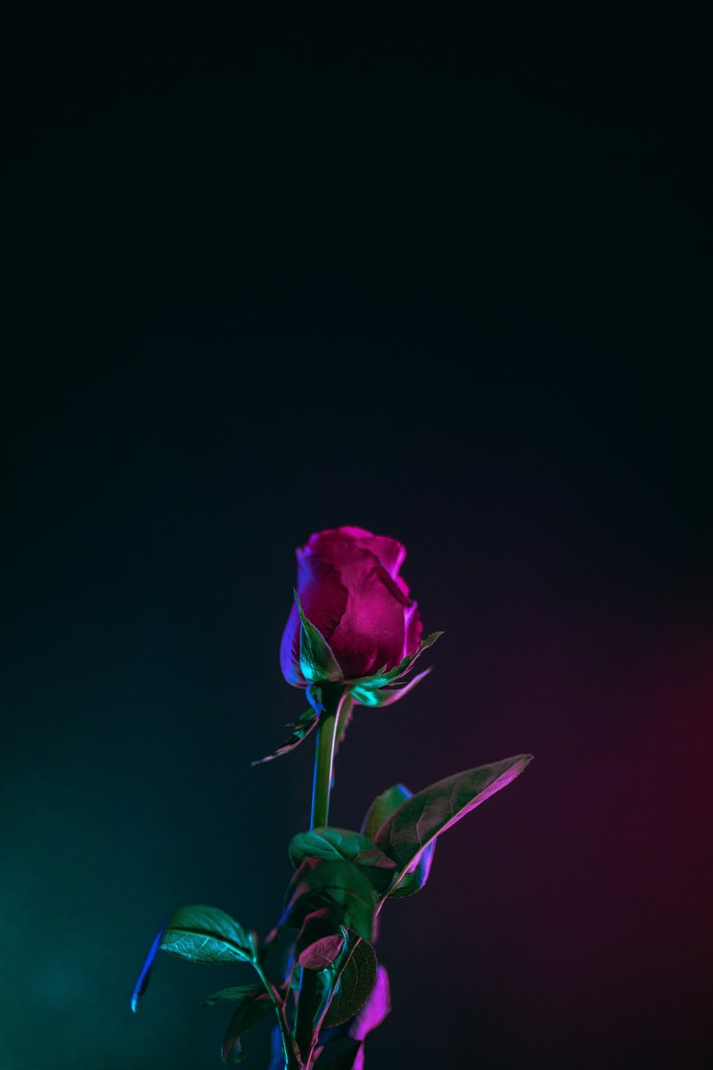 wallpaper android wallpapers android backgrounds and lock screen background hd, 4k