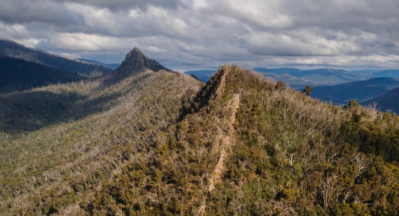 mountain peaks bristling with trees under heavy clouds in cathedral range state park, prickly mountain peaks 4k