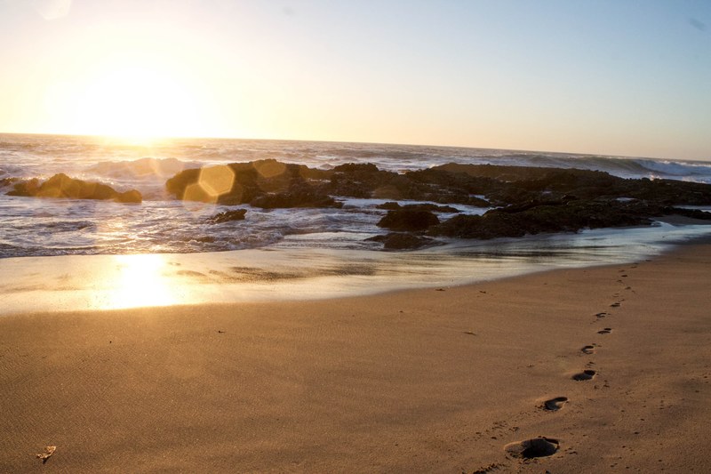 wafe water sea and landscape 4k