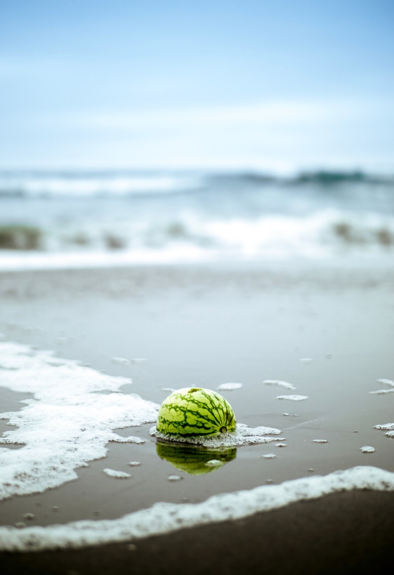 watermelon buried half in sand with ocean foam around at ocean beach, watermelon on a sand beach 4k