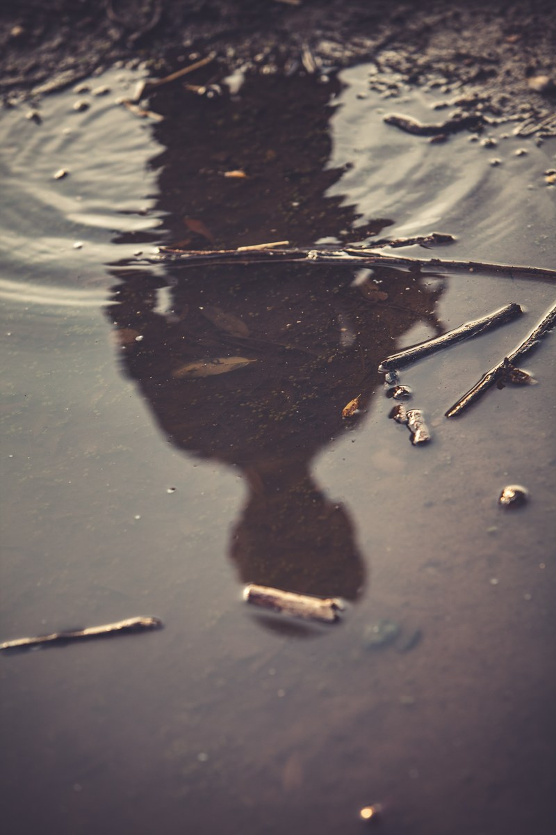 a reflection showing a persons shadow in a stick covered pond, murky childhood reflection 4k
