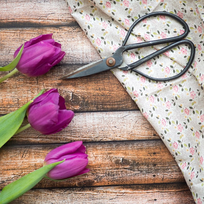 floral flower and tulip 4k