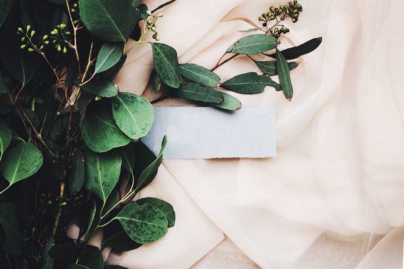 a bundle of leaves and a note against pretty pink silk fabric, pink fabric 4k