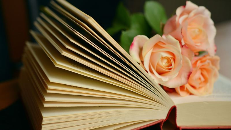 book, roses, bouquet, reading, 4k