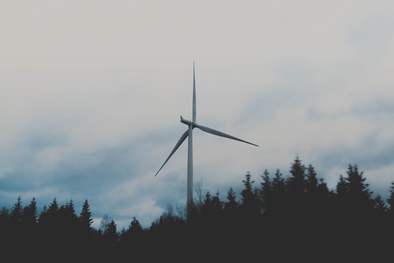 a windmill surrounded by evergreen trees, windmill 4k