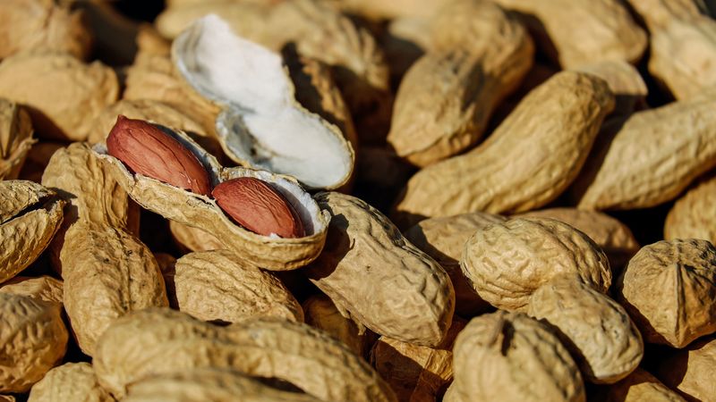 nuts, shell, ripe, 4k