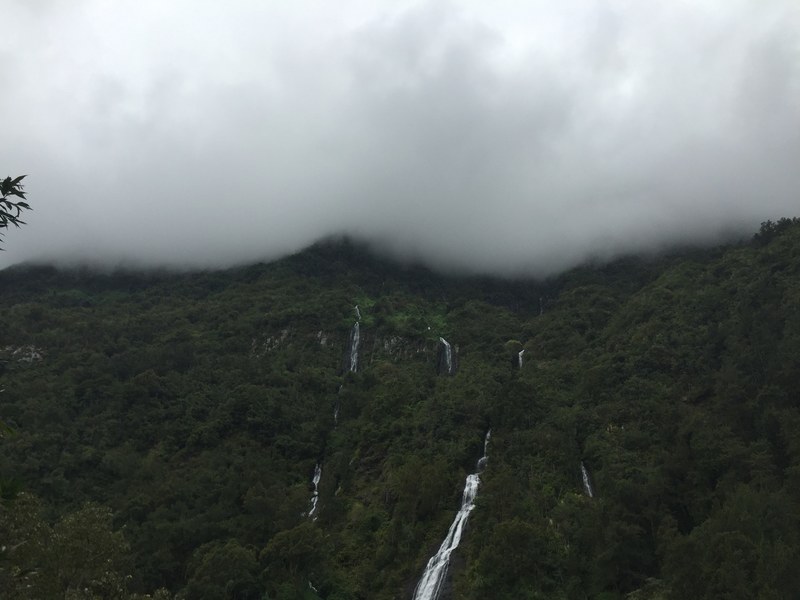 several waterfalls running down a wooded slope, waterfalls in the woods 4k