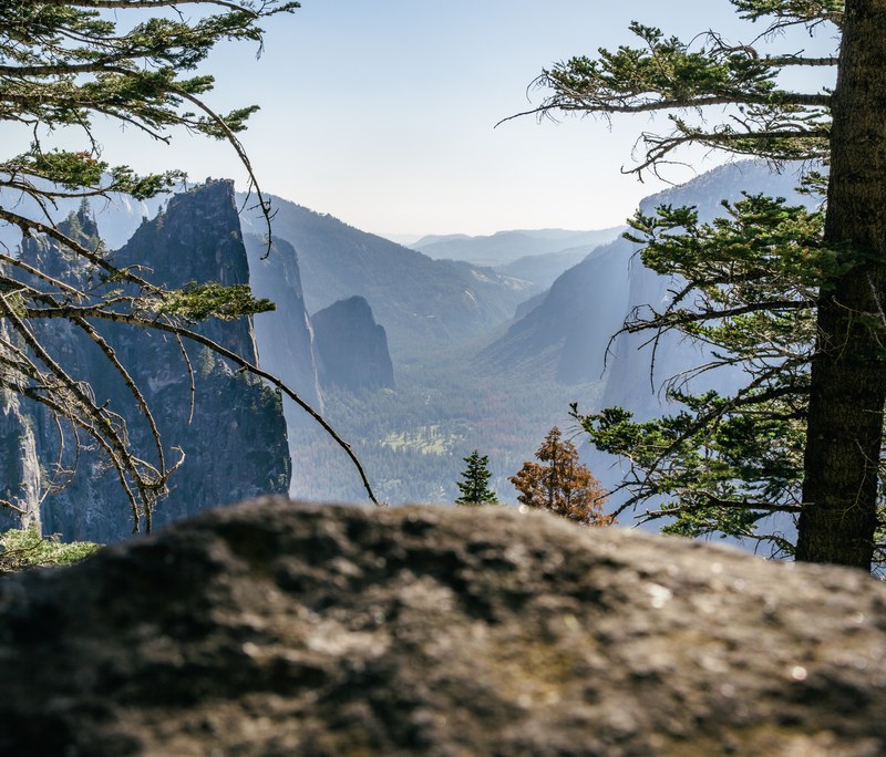 outdoor rock tree and mountain 4k
