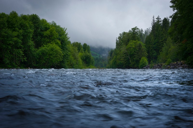 white river between seattle and rainier np 4k