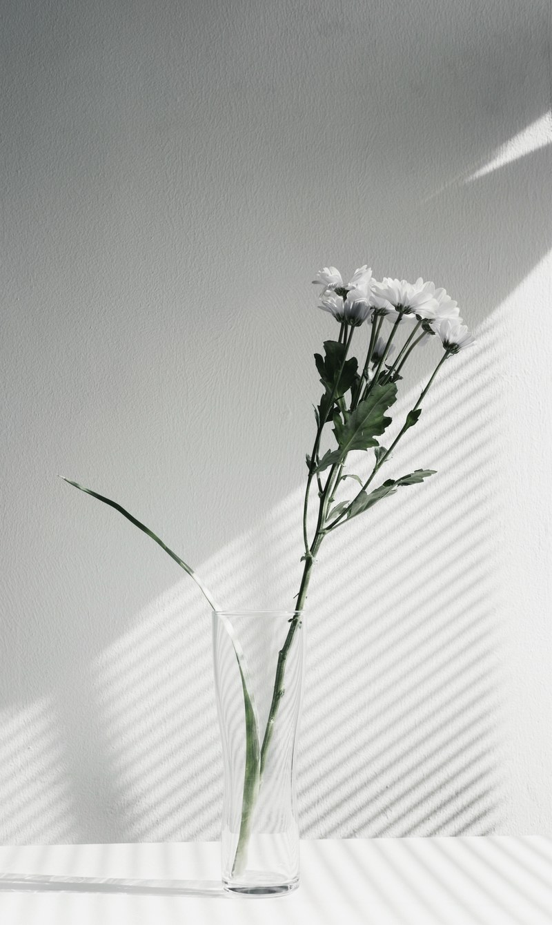 a desaturated shot of white flowers in a glass vase, minimal flower vase 4k