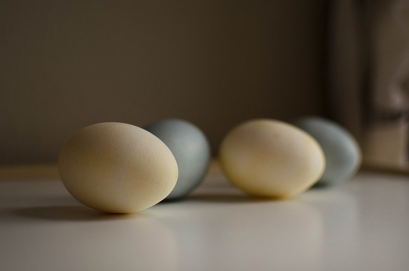 natural dyed eggs 4k