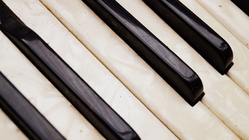 accordion, musical instrument, key, texture, 4k