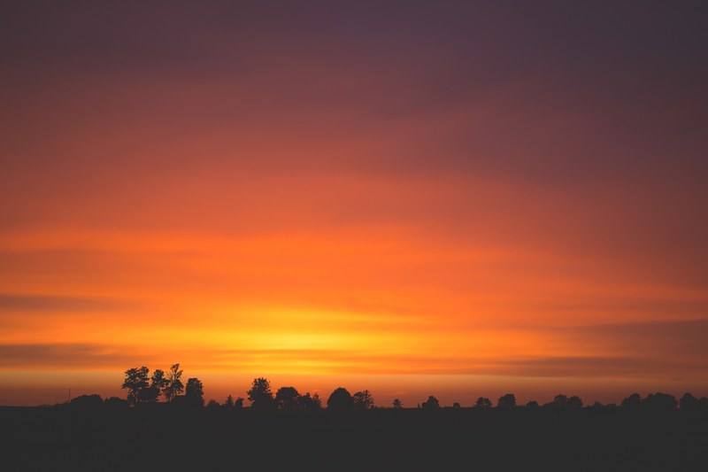 dark silhouettes of trees against the twilight skies, tree silhouettes against orange sky 4k
