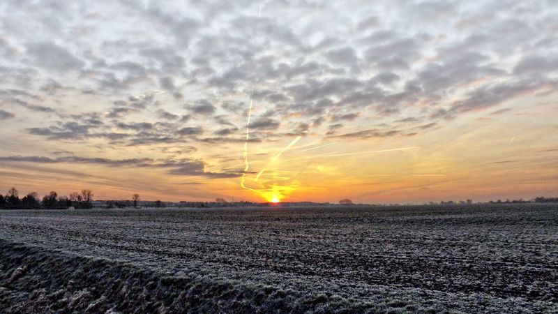 fog, field, sky, frost, hdr, 4k