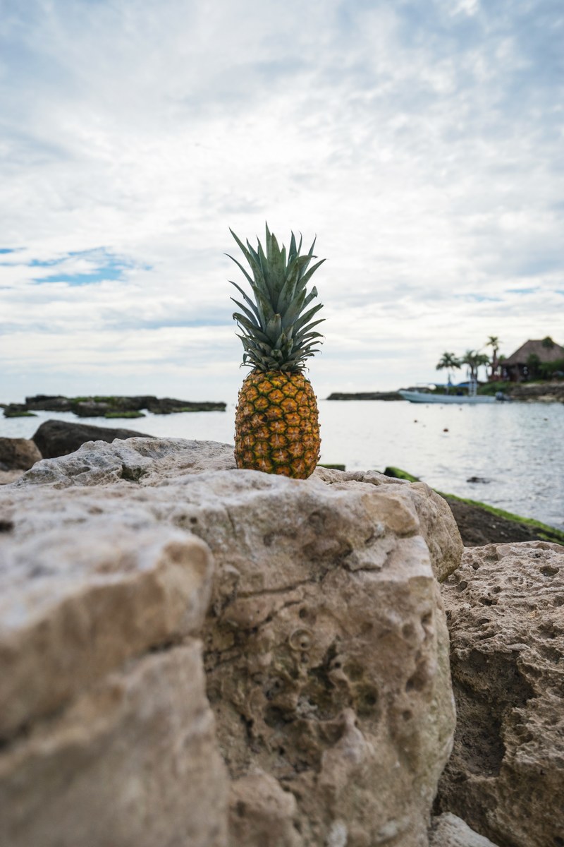 a pineapple sitting on a rock with a view of palm trees and the ocean behind it at grand sirenis riviera maya resort, riviera maya resort pineapple 4k