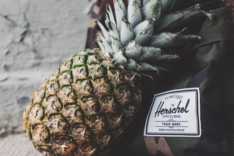 a pineapple leaning against a backpack, _pineapple and backpack 4k