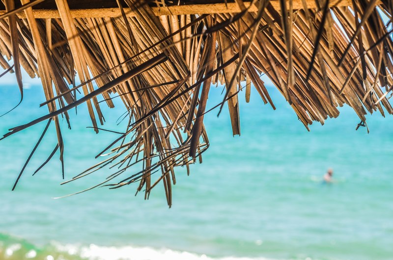 a close up of a thatched roof by the sea with a person swimming in the blurry background, thatched roof close up 4k