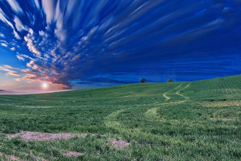 a grassy meadow in a rural area with the sky filled with fluffy clouds during sunset, sunset 4k