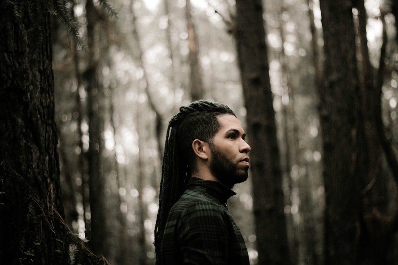 a man with a beard and braids standing in the woods, young man in a pale forest 4k