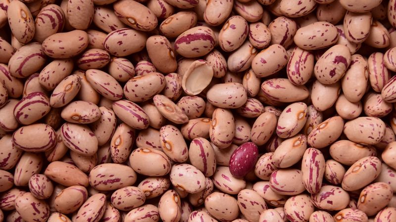 kidney beans, beans, seeds, 4k