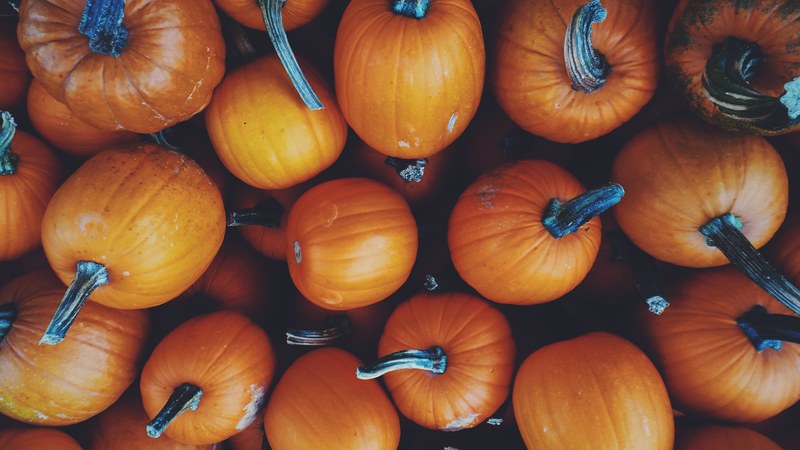a collection of yellow halloween seasonal pumpkin with patches and stems, yellow halloween pumpkins 4k