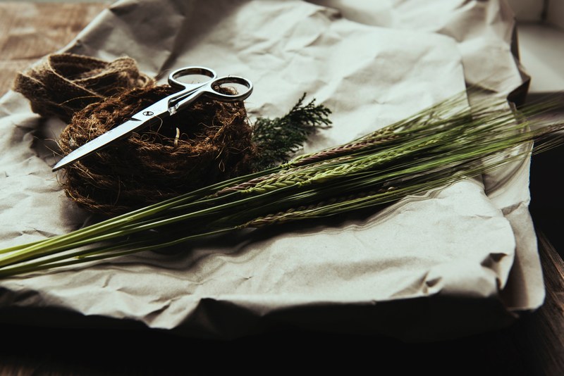 scissors and grass on nest and craft paper in leeds, craft supplies 4k