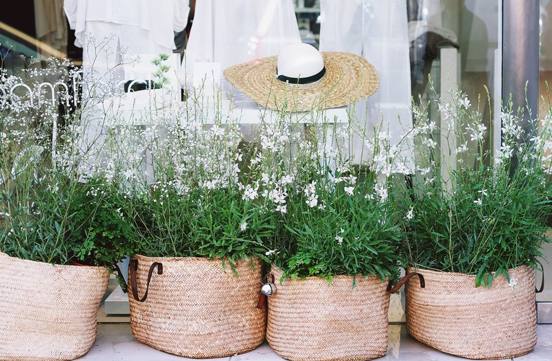 small white flowers with rich green leaves planted in wicker bags, wicker bag planters 4k