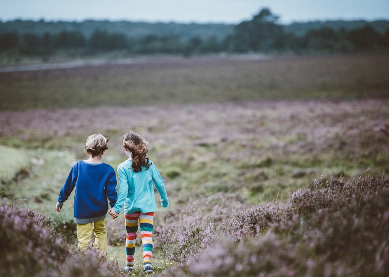 two children hold hands while walking away from the camera in a meadow, outdoors kids 4k