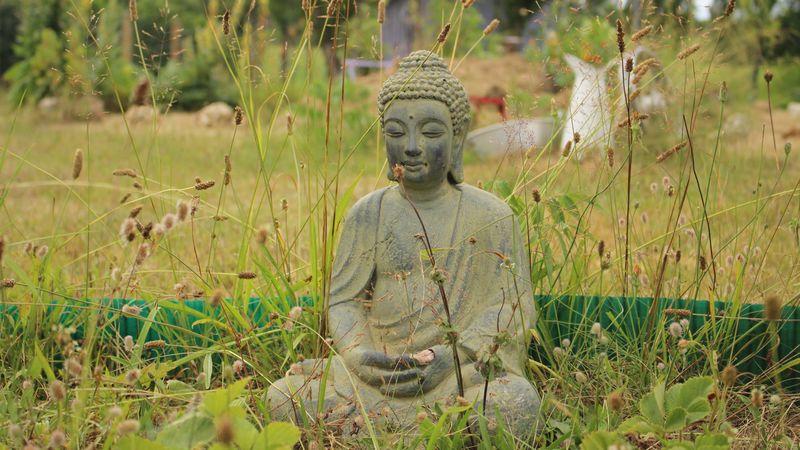 buddha, buddhism, meditation, grass, 4k