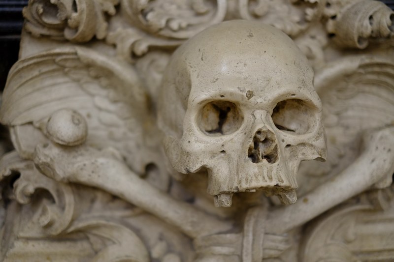 skeleton skull sculpture and statue 4k