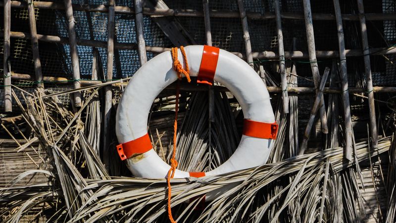 lifebuoy, reeds, equipment, 4k
