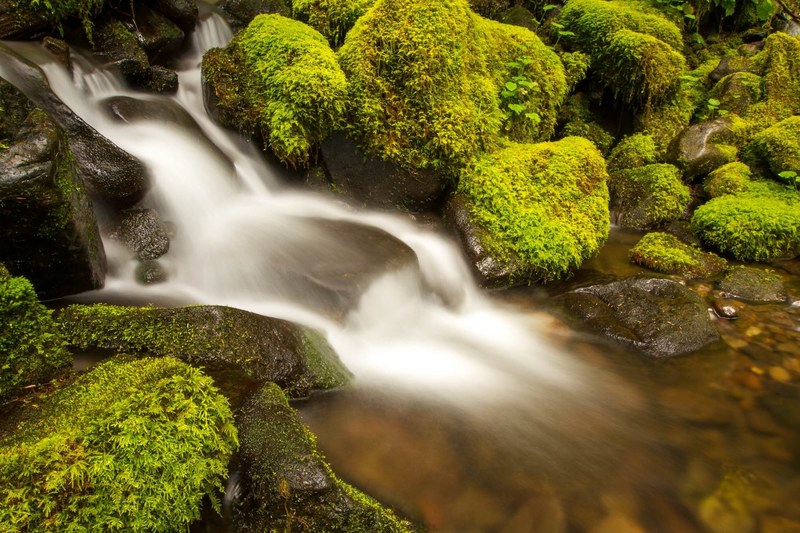 misty waterfall rushes down mossy rocks, serene waterfall 4k
