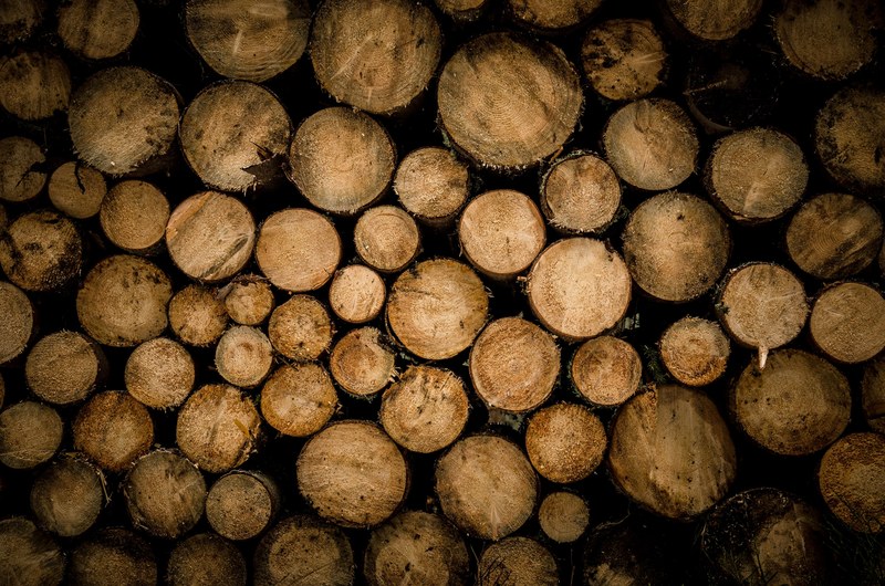 stump log wood and chopped 4k