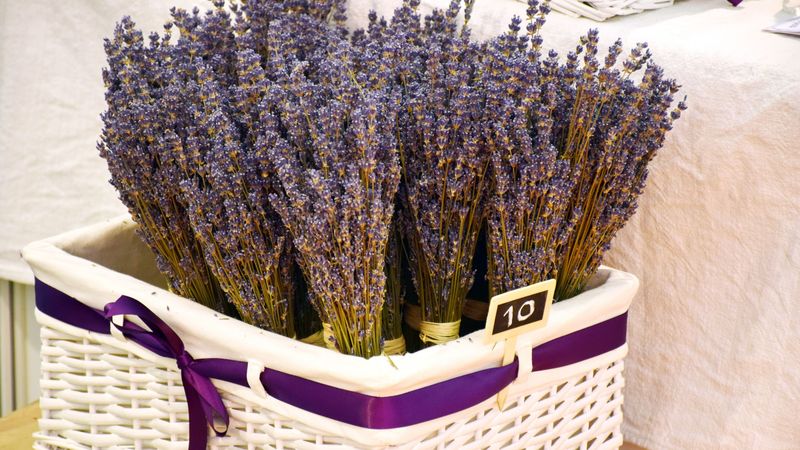 lavender, basket, flowers, fragrance, 4k