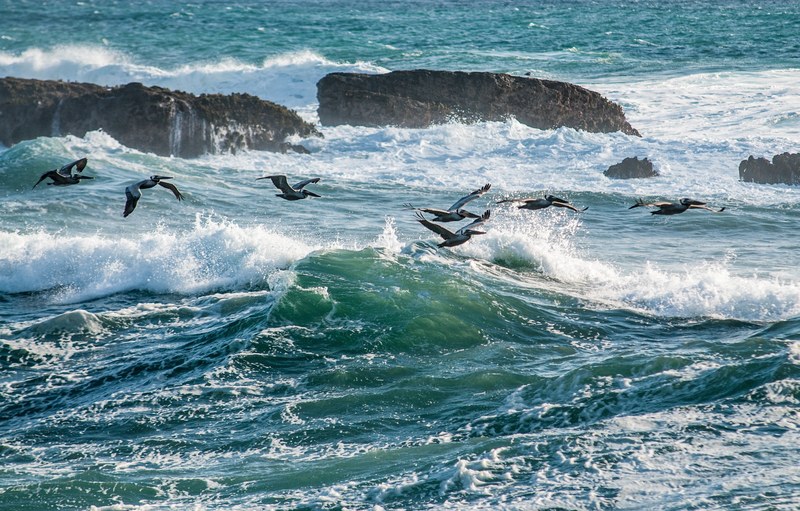 rock ocean sea and wafe 4k