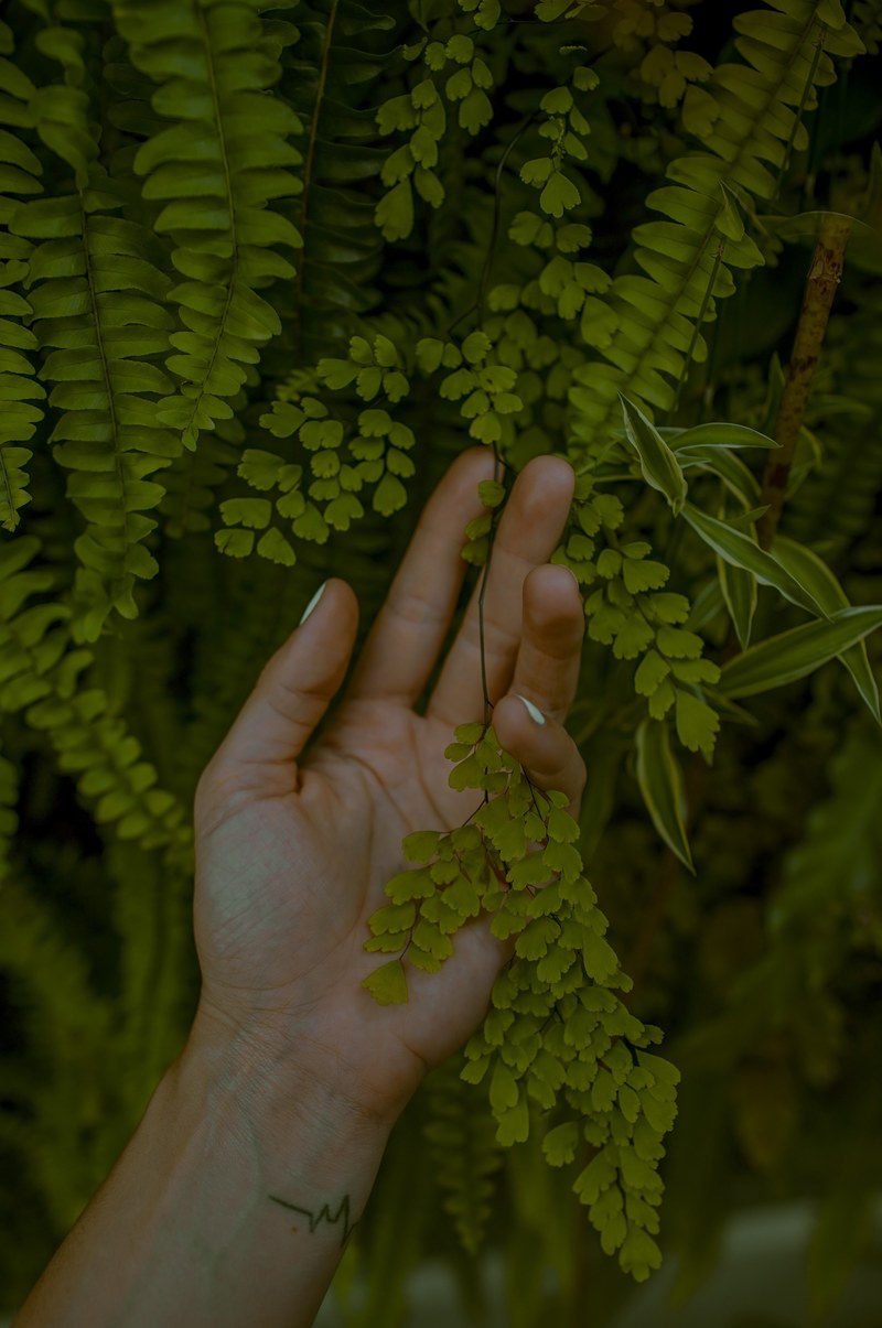 fragile touch 4k