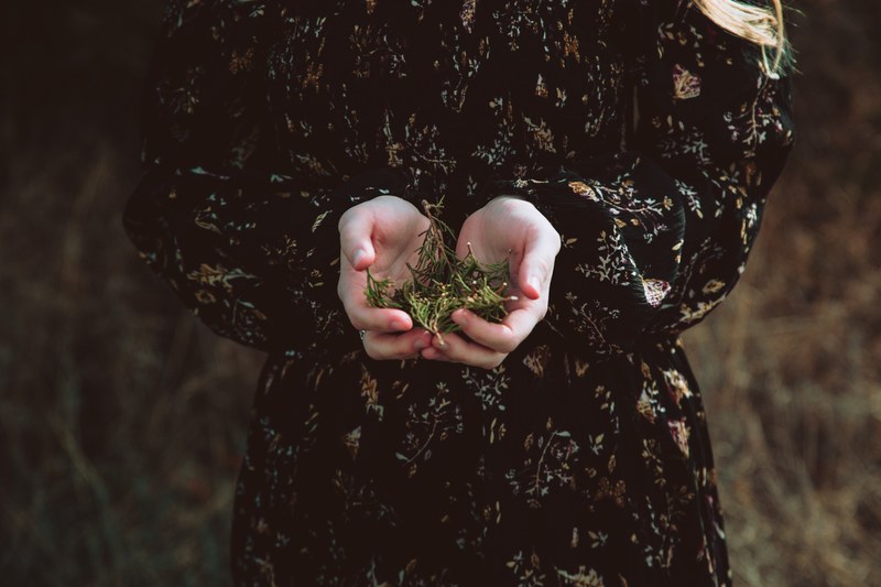 a woman holding tiny conifer branches in her cupped hands, woman holding needly branchlets 4k