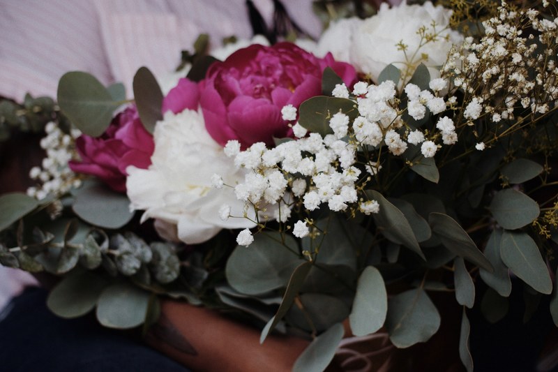 peony white pink and green 4k