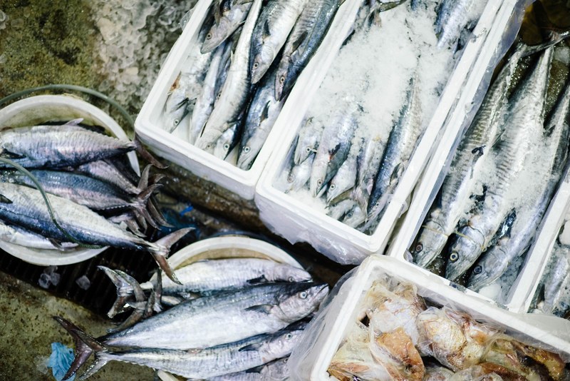 fish fish market crate and fresh water fish 4k